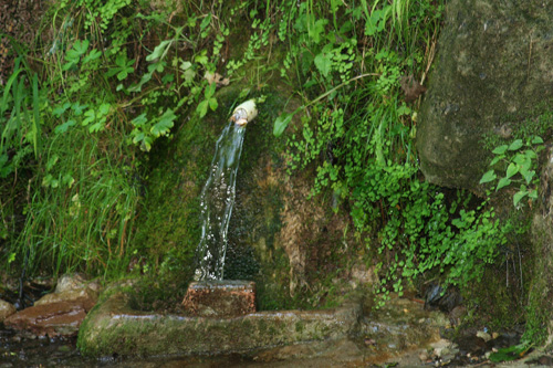 Font al costat del camping