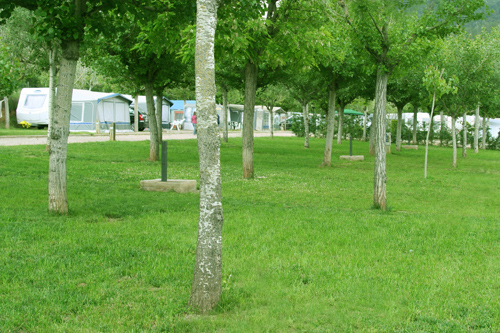 Parcela C&aacute;mping