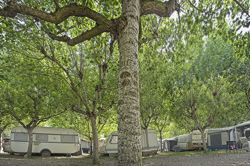 Parcelas con abundantes sombras