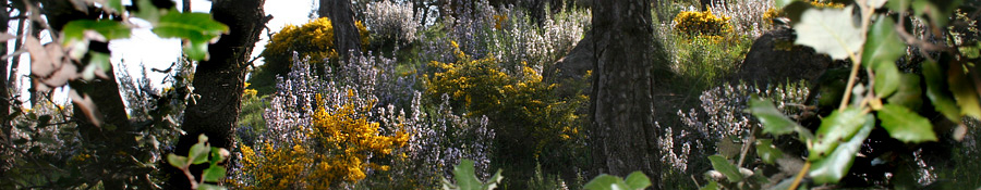 Activitats Camping Riera Merl&egrave;s