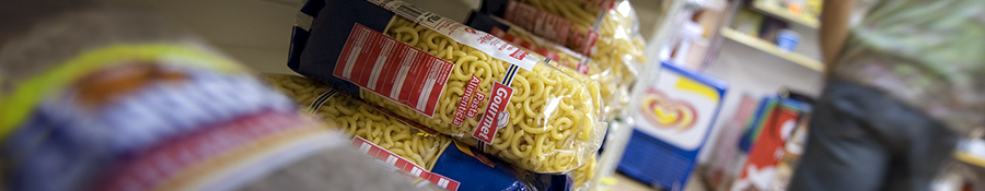 Activitats Camping Riera Merl&egrave;s